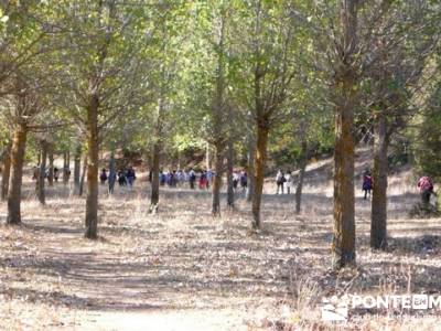 Parque Natural Cañón de Río Lobos - Cañón del Río Lobos; senderismo en murcia